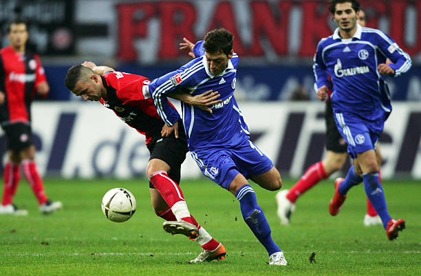 忠实粉丝群 忠实粉丝群